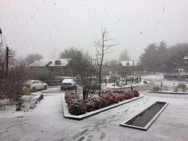 מושב נמרוד המושלג // צילום: צילום: לילך אשתר, יחל"צ גולן